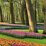 Tour to Giethoorn and Keukenhof Tulip Fields from Amsterdam - Keukenhof Gardens: Holland’s Floral Crown in Springtime