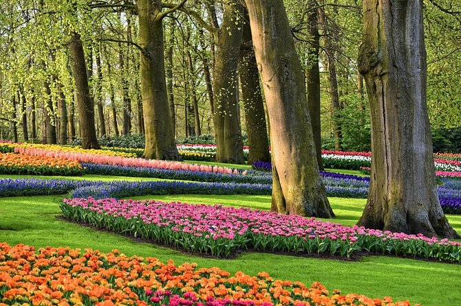 Tour to Giethoorn and Keukenhof Tulip Fields from Amsterdam - Keukenhof Gardens: Holland’s Floral Crown in Springtime