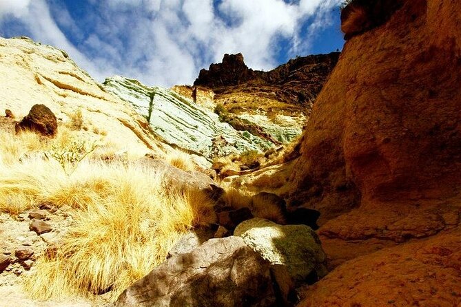 Tour to Mogán, La Aldea & Las Canteras - Big Island tour - The Dramatic Cliffs of Los Azulejos de Veneguera