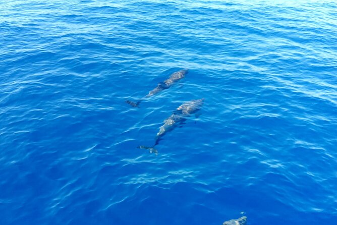 Tour to the islands of the La Maddalena Archipelago by sailing boat - Small Group Experience and Personalized Service