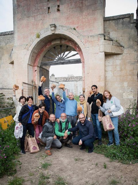 Tour tra i Templi dell'Olio e gli Olivi Patriarchi - Exploring Matera’s Olive Trees and Countryside Trails