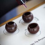 Tour & wine tasting with chocolate spheres (Saint-Emilion) - Behind-the-Scenes Visit to the Estate’s Vineyard and Cellar
