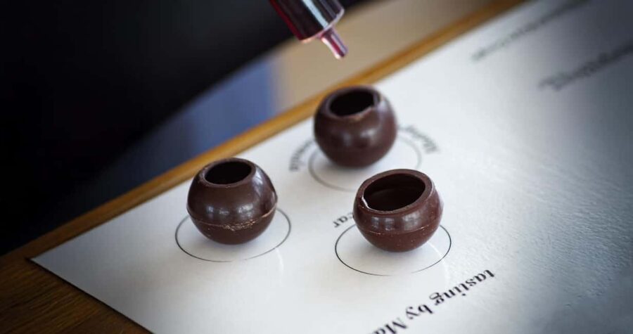 Tour & wine tasting with chocolate spheres (Saint-Emilion) - Behind-the-Scenes Visit to the Estate’s Vineyard and Cellar
