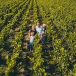 Tours-sur-Marne: Cellar Tour & Champagne Tasting - Exploring Champagne Production: From Harvest to Aging