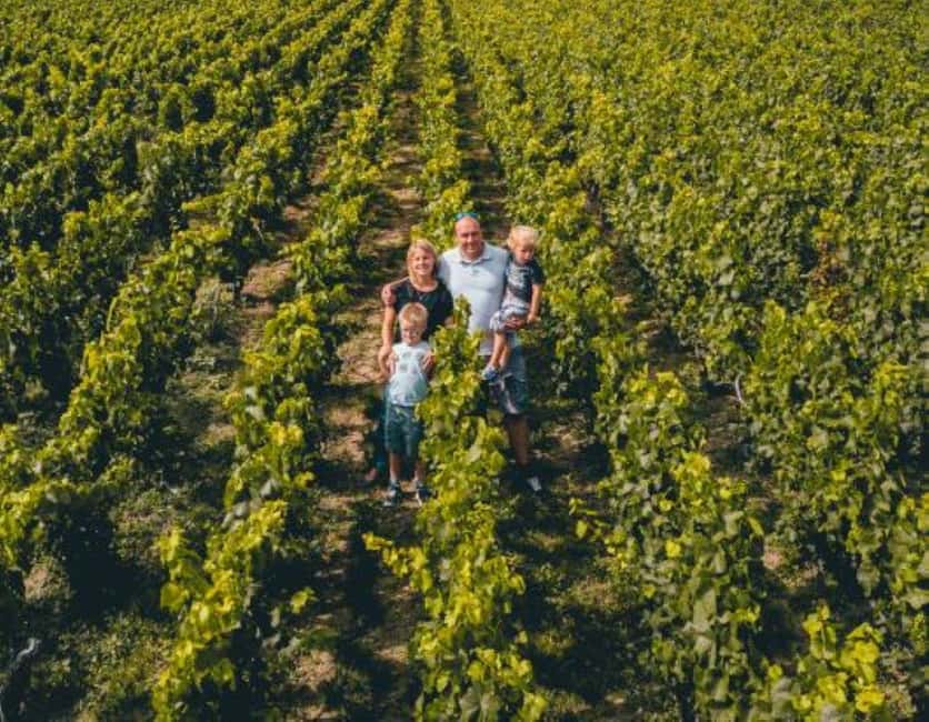 Tours-sur-Marne: Cellar Tour & Champagne Tasting - Exploring Champagne Production: From Harvest to Aging