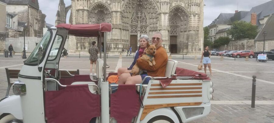 Tours: visite du coeur historique de la ville. - Discovering the Arts Quarter and Saint-Martin Basilica