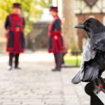 Tower of London Fully Guided Private Tour - Exploring the Iconic White Tower and Its Surroundings