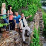 Traben-Trarbach / Bernkastel-Kues, Moselle: Wine experience hike - Scenic Boat Trip to Kröv