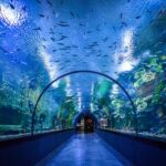 Trabzon: Atatürk Mansion, Ayasofya Mosque, Private Tour - Exploring the Byzantine Heritage at Ayasofya Mosque