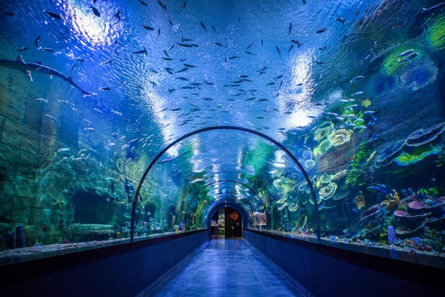 Trabzon: Atatürk Mansion, Ayasofya Mosque, Private Tour - Exploring the Byzantine Heritage at Ayasofya Mosque