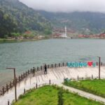 Trabzon: Uzungöl Group Tour, Explore The Nature & Taste Tea - From the Sürmene Knife Department to Turkish Cuisine Tasting