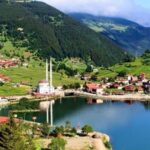 Trabzon: Uzungol Lake Day Tour with Lunch - Practical Details: Transportation and Group Setting