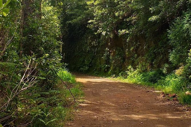 Traditional Sunday Market - Half Day Tour - 4x4 - Visiting the Santo da Serra Farmers Market