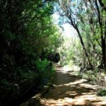 Trail to Wind Lagoon  Explore Levada do Alecrim - The Guide’s Role in Enhancing the Experience