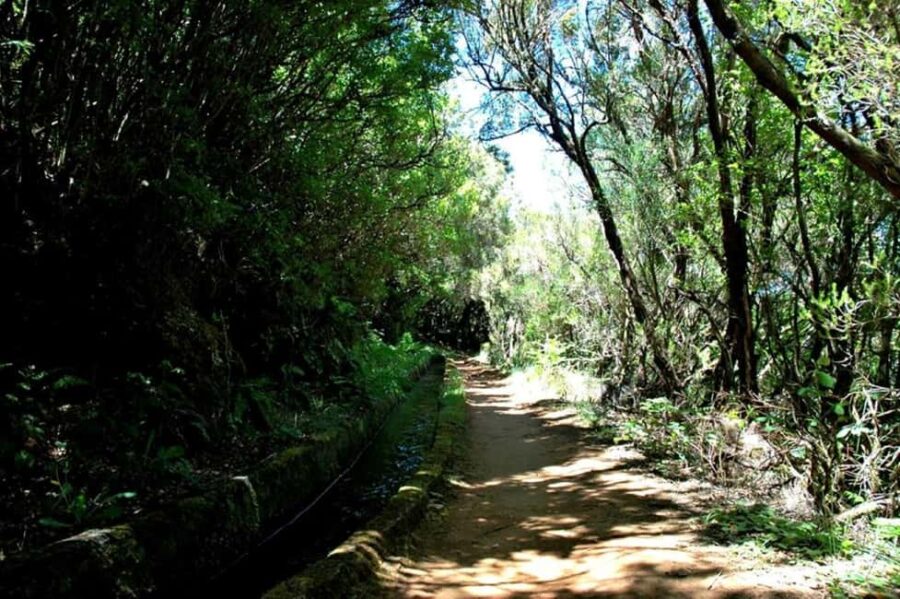 Trail to Wind Lagoon  Explore Levada do Alecrim - The Guide’s Role in Enhancing the Experience