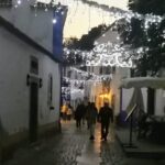 Transfer from Lisbon to Porto with visits on the way - Exploring Óbidos: Portugal’s Medieval Gem