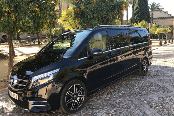 Transfer from the Airport to Madrid - What Makes This Transfer Stand Out?