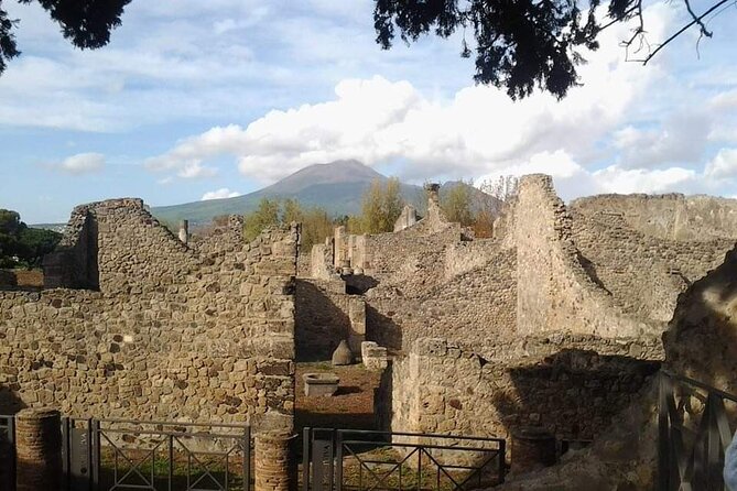 Transfer Naples airport/station to Sorrento with stop in Pompeii - Explore Pompeii Archaeological Site for 2 Hours