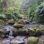 Transfer to Caldeirão Verde Levada Self-Guided Hike Queimadas - Exploring Queimadas Park and Its Surroundings