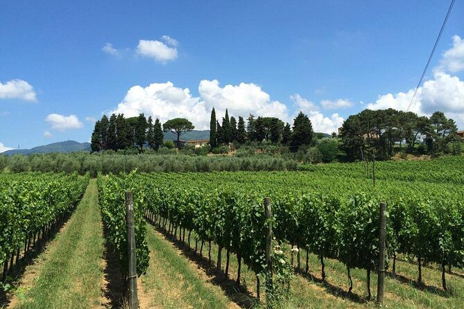 TRANSFER TOUR Florence to Rome with a wine experience in MONTEPULCIANO - The Route from Florence to Rome Through the Tuscan Hills