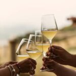 Trapani: Organic Wine Tasting with the Producer - Walking Through the Vineyard’s Heart