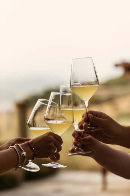 Trapani: Organic Wine Tasting with the Producer - Walking Through the Vineyard’s Heart