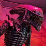 Trash Art Museum: Hungary's First Scrap Metal Exhibition - The Location and How to Find the Entrance