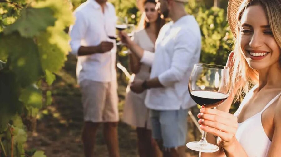 Trasimeno: Discovering Montemelino Wine Experience - Scenic Vineyards Overlooking Lake Trasimeno