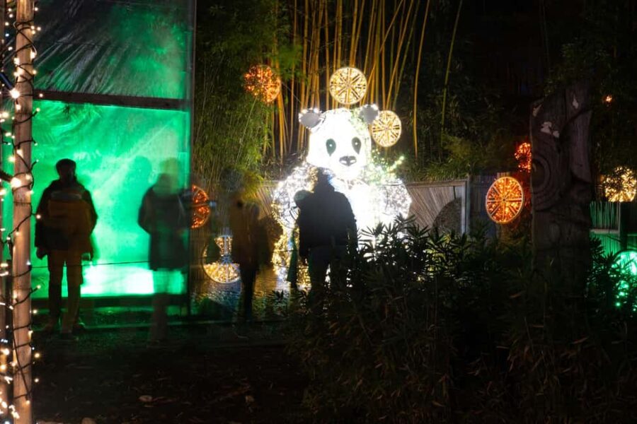 Trauttmannsdorff Castle: Lumagica Light Park Merano 2025/2026 - Opening Dates and Duration