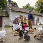 Travel and Experience the Emerald Isle. - In-Depth Look at Belfast and Northern Ireland Cities