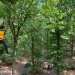 Tree Top Adventure in Forest of Meudon - What the Tree Top Courses Include