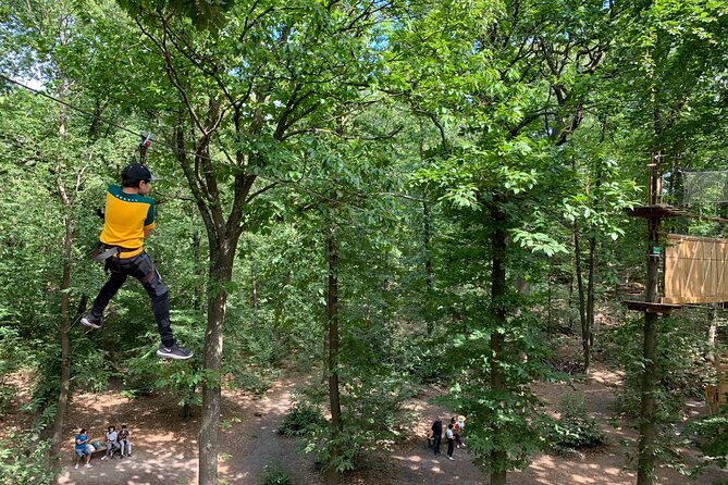 Tree Top Adventure in Forest of Meudon - What the Tree Top Courses Include