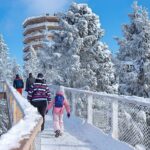 Treetop Walk in Slovakia and Thermal Baths from Krakow - Starting in Krakow with Stress-Free Transfers