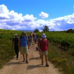 Trek & Wine in Priorat - Explore the Unspoiled Landscape of Priorat with a Local Guide