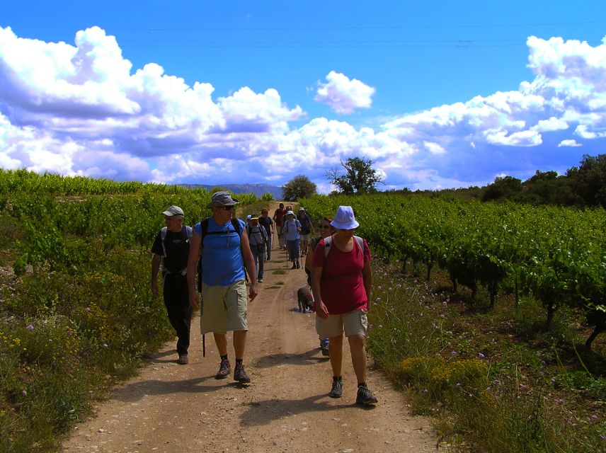 Trek & Wine in Priorat - Explore the Unspoiled Landscape of Priorat with a Local Guide
