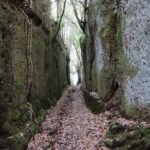 Trekking Excursion History and Nature Necropolis of Norchia from Rome - Discovering Norchia’s Majestic Rock Tombs