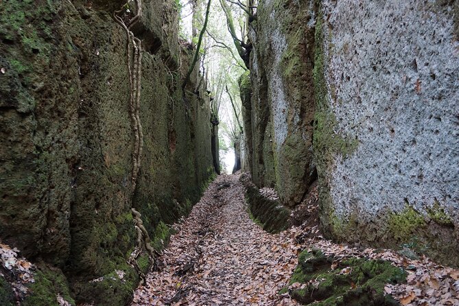 Trekking Excursion History and Nature Necropolis of Norchia from Rome - Discovering Norchia’s Majestic Rock Tombs