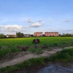 Trekking in the Wood with picnic on the turtles lake - Starting Point and Meeting Arrangements in Milan