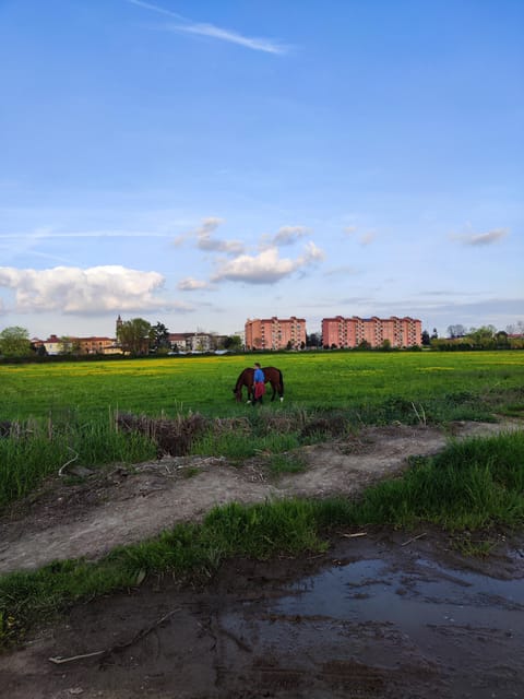 Trekking in the Wood with picnic on the turtles lake - Starting Point and Meeting Arrangements in Milan