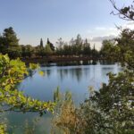 Trekking Rouvas Gorge - Exploring the Enchanting Holly Forest of Rouvas