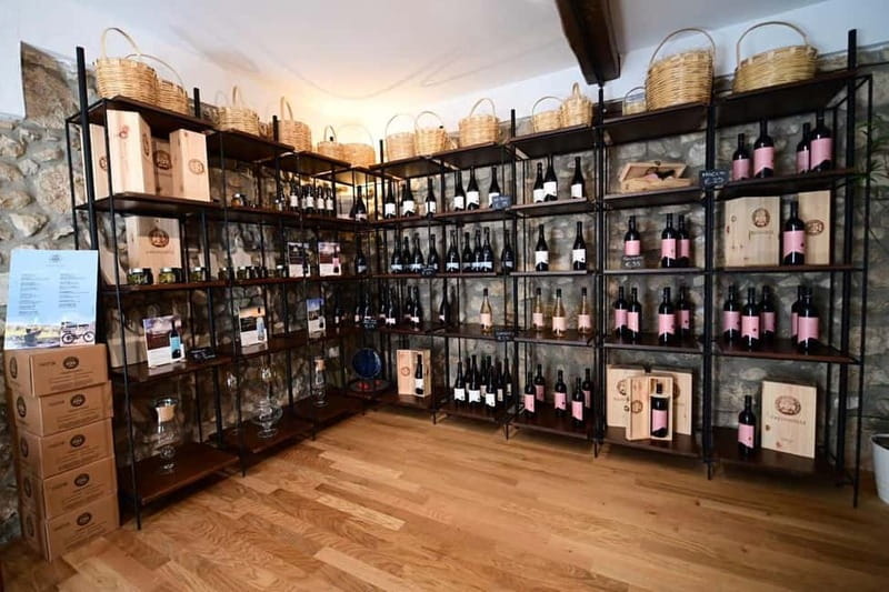 Trentinara Wine Tasting and Walking Tour - Exploring the Flavors: Tasting of Three Unique Wines