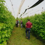 Trentino Agriconda: frutTIAMO...Explore, Learn, Taste Small Fruits - Meet the Agriconda Family and Discover Their Passion for Small Fruits