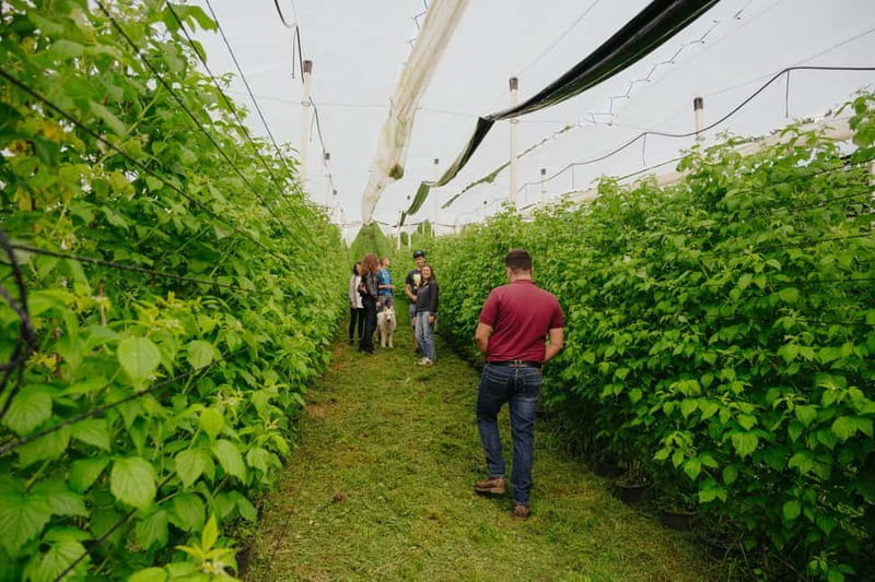 Trentino Agriconda: frutTIAMO...Explore, Learn, Taste Small Fruits - Meet the Agriconda Family and Discover Their Passion for Small Fruits