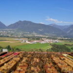 Trentino Agriconda: The adventure of the queen bee. We will explore the beehives. - Hands-On Beekeeping: Entering the Apiary with Safety Gear
