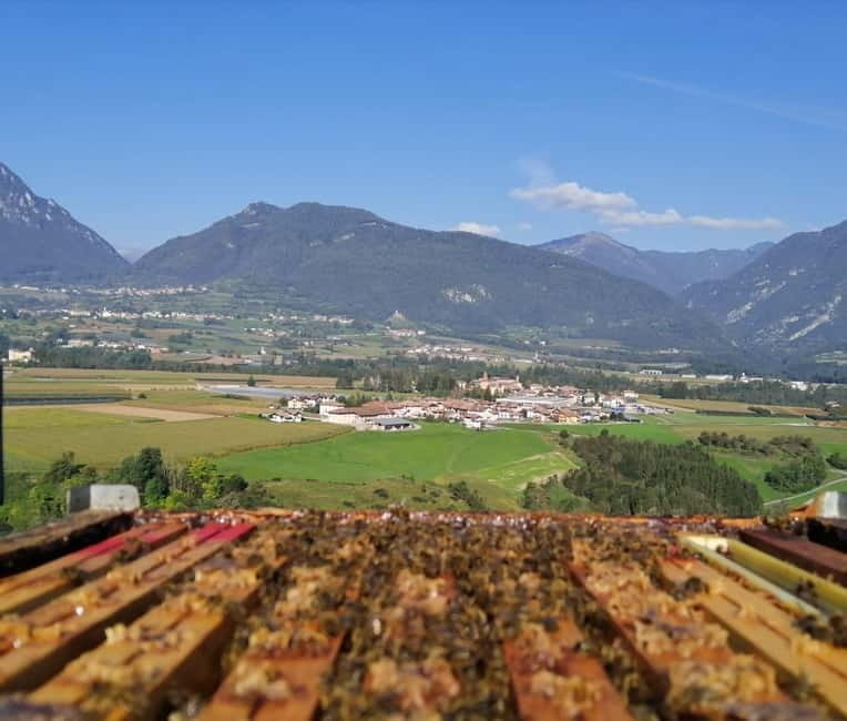 Trentino Agriconda: The adventure of the queen bee. We will explore the beehives. - Hands-On Beekeeping: Entering the Apiary with Safety Gear