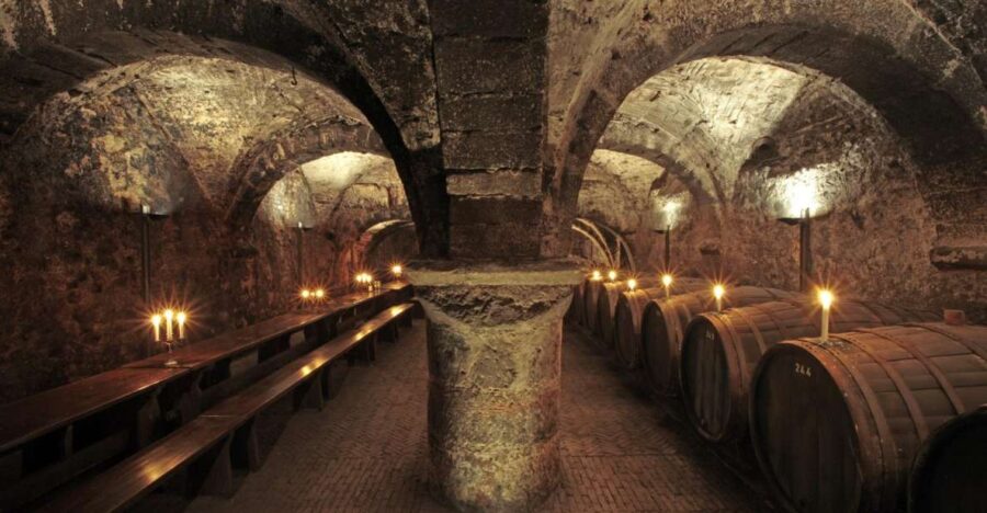 Trier: Discovery tour - Germany's oldest wine cellar - Exploring Trier’s Roman Wine Cellar History