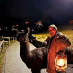 Triesenberg: Walking Tour with Llamas and Cheese Raclette - Starting Point and Meeting Arrangements at Triesenberg