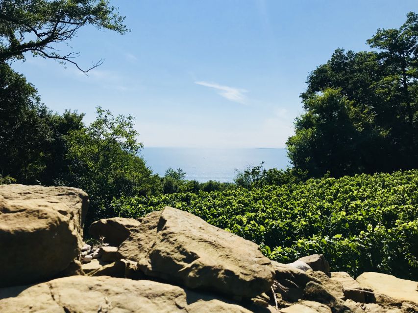 Trieste: 2.5-Hour Prosecco Origins Tour and Tastings - Tasting Regional Wines and Local Delicacies