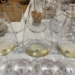 Trieste: Private Wine Tasting - 3 wines from 3 countries - Location and Meeting Point in Trieste City Center