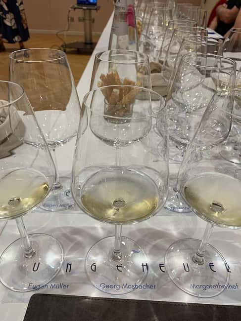 Trieste: Private Wine Tasting - 3 wines from 3 countries - Location and Meeting Point in Trieste City Center